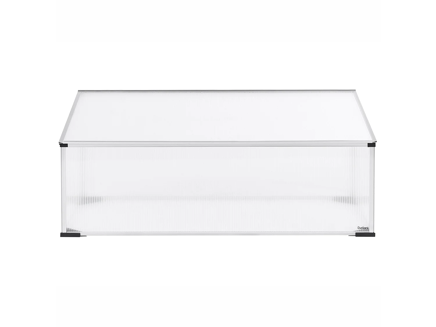 Serre de jardin CARFIZZI Argenté 60 cm