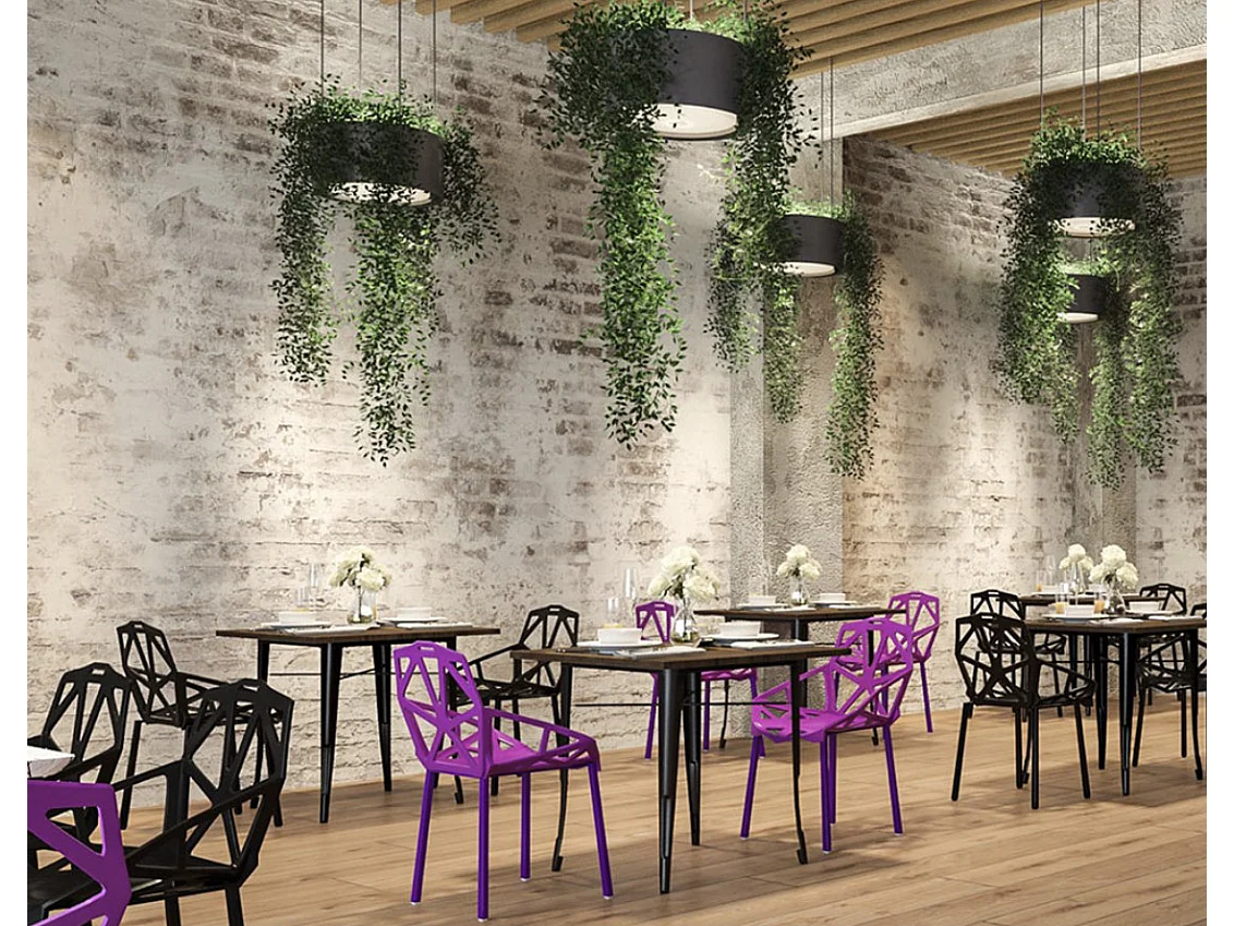 Chaise Spider – Design Moderne pour Intérieur et Extérieur-Couleur Bleu