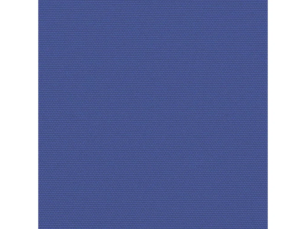 Auvent latéral rétractable bleu 160x600