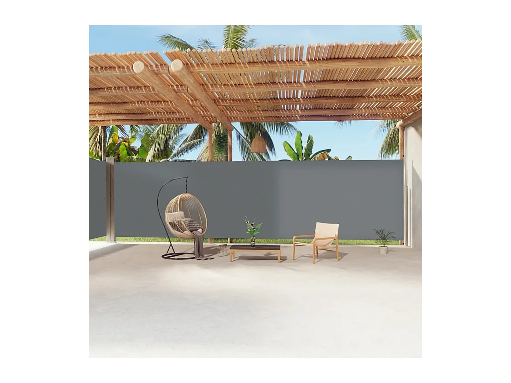 Auvent latéral rétractable Anthracite 220x1200