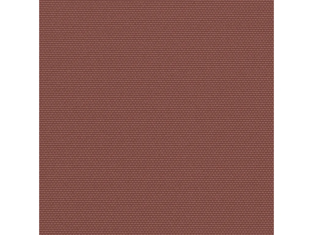 Auvent latéral rétractable marron 220x1000