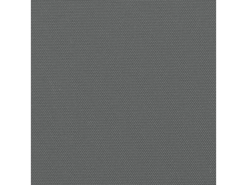 Auvent latéral rétractable anthracite 160x600