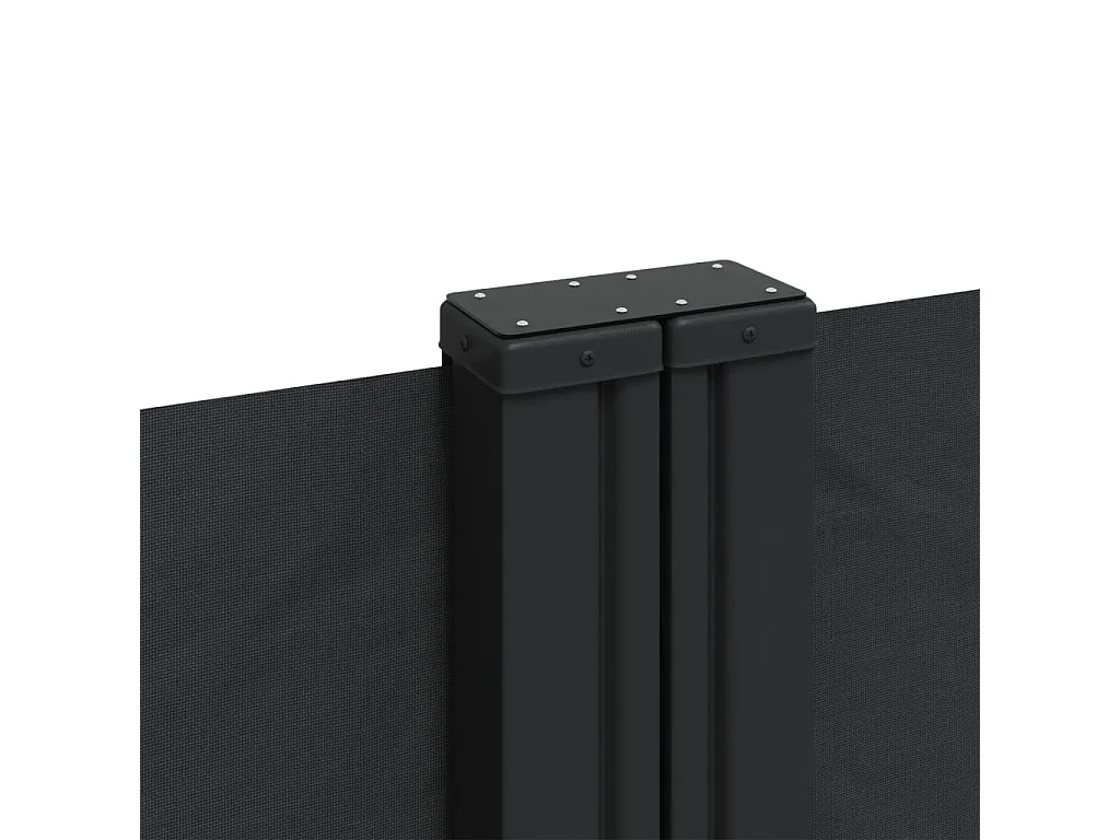 Auvent latéral rétractable noir 120x600