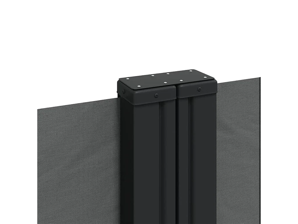 Auvent latéral rétractable anthracite 160x1200