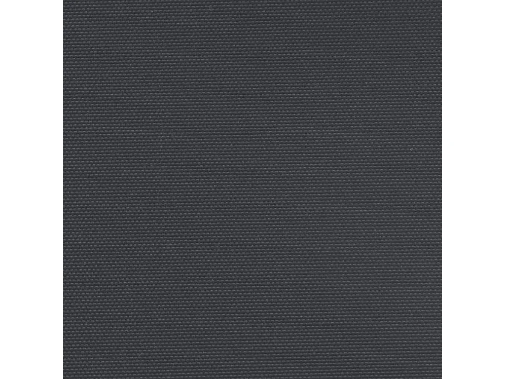 Auvent latéral rétractable noir 140x600