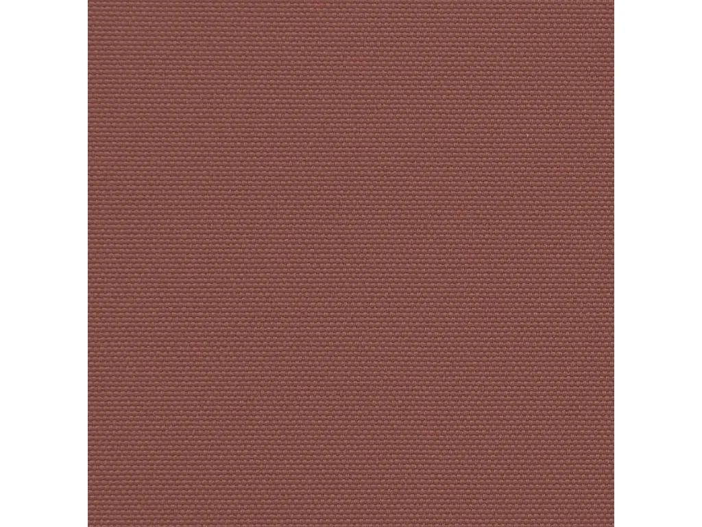 Auvent latéral rétractable marron 180x500