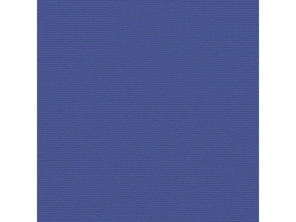 Auvent latéral rétractable bleu 100x1000