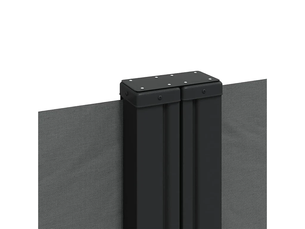 Auvent latéral rétractable anthracite 200x600