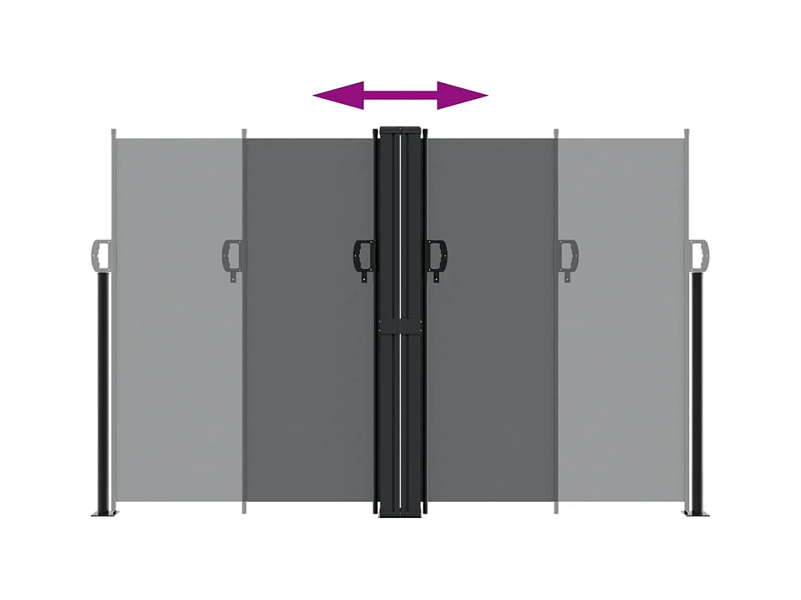 Auvent latéral rétractable noir 160x600