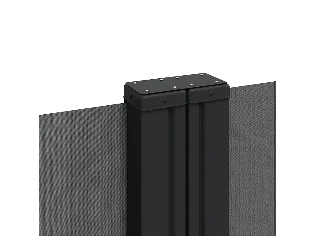 Auvent latéral rétractable anthracite 180x600