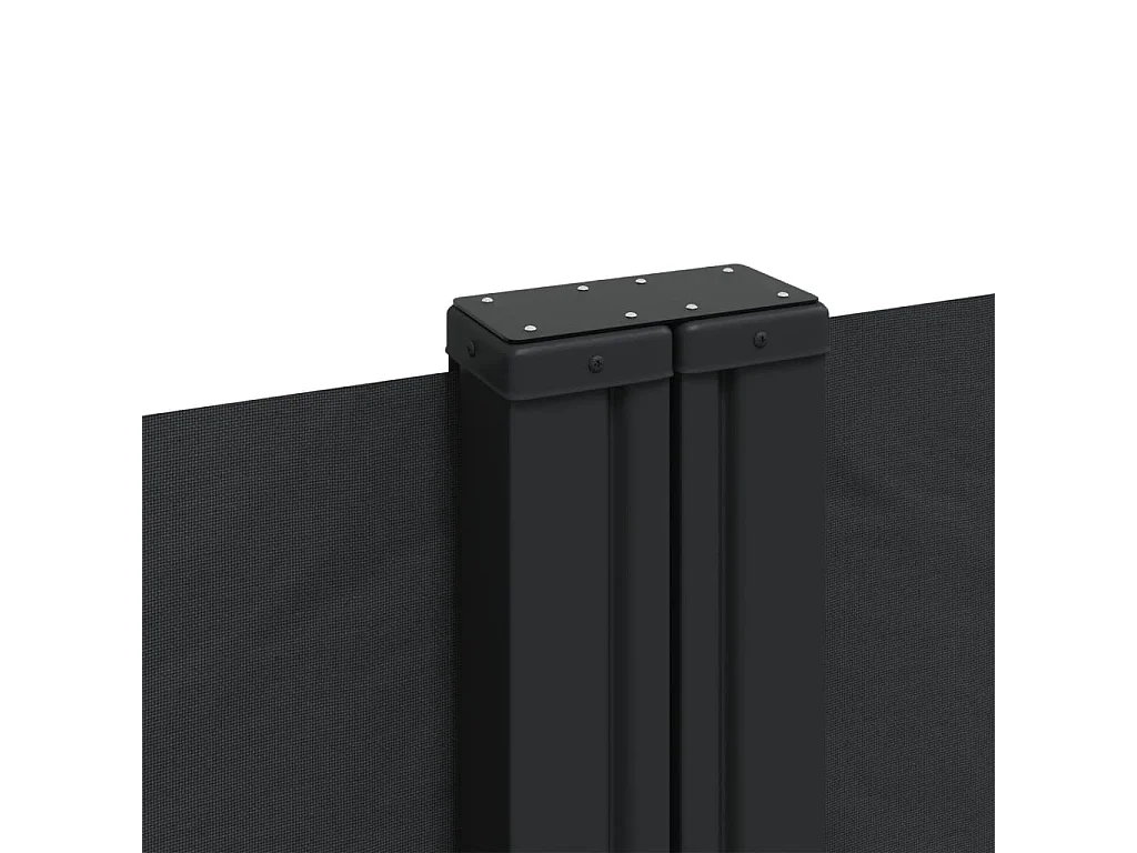 Auvent latéral rétractable noir 200x600