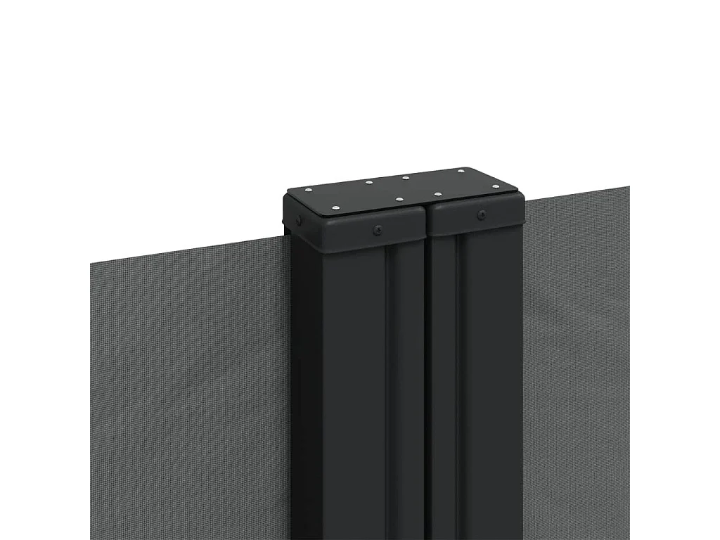 Auvent latéral rétractable anthracite 100x600