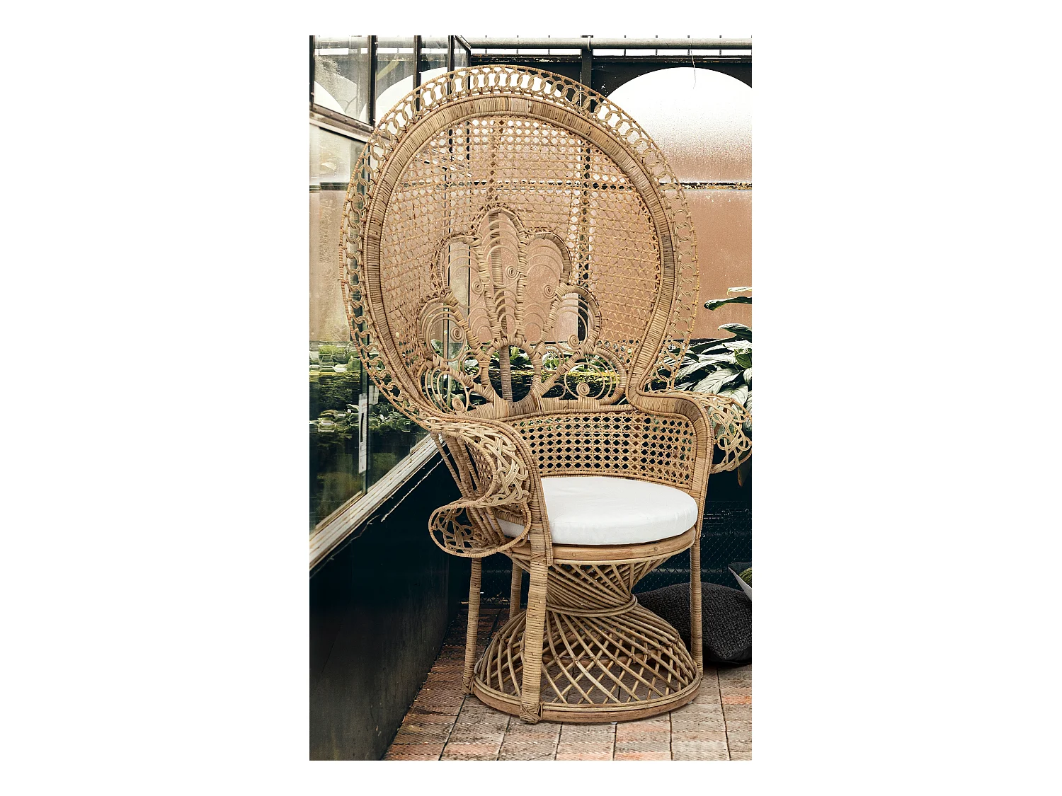 Pauwvormige fauteuil van natuurlijk rotan met Pero kussen