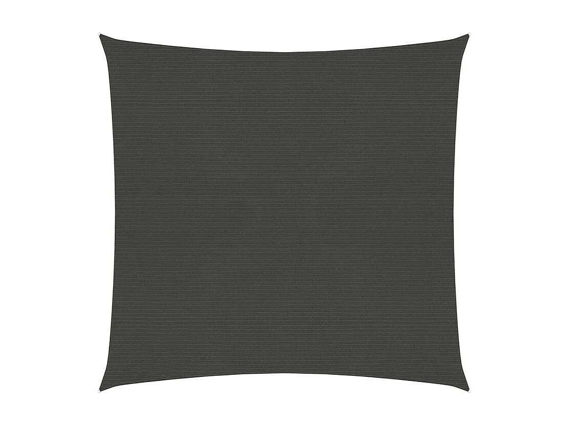 Voile d'ombrage 160 g-m² Anthracite 6x6 m PEHD