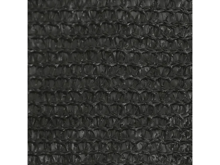 Voile d'ombrage 160 g-m² Anthracite 6x6 m PEHD