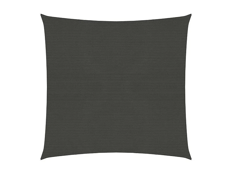 Voile d'ombrage 160 g-m² Anthracite 6x6 m PEHD