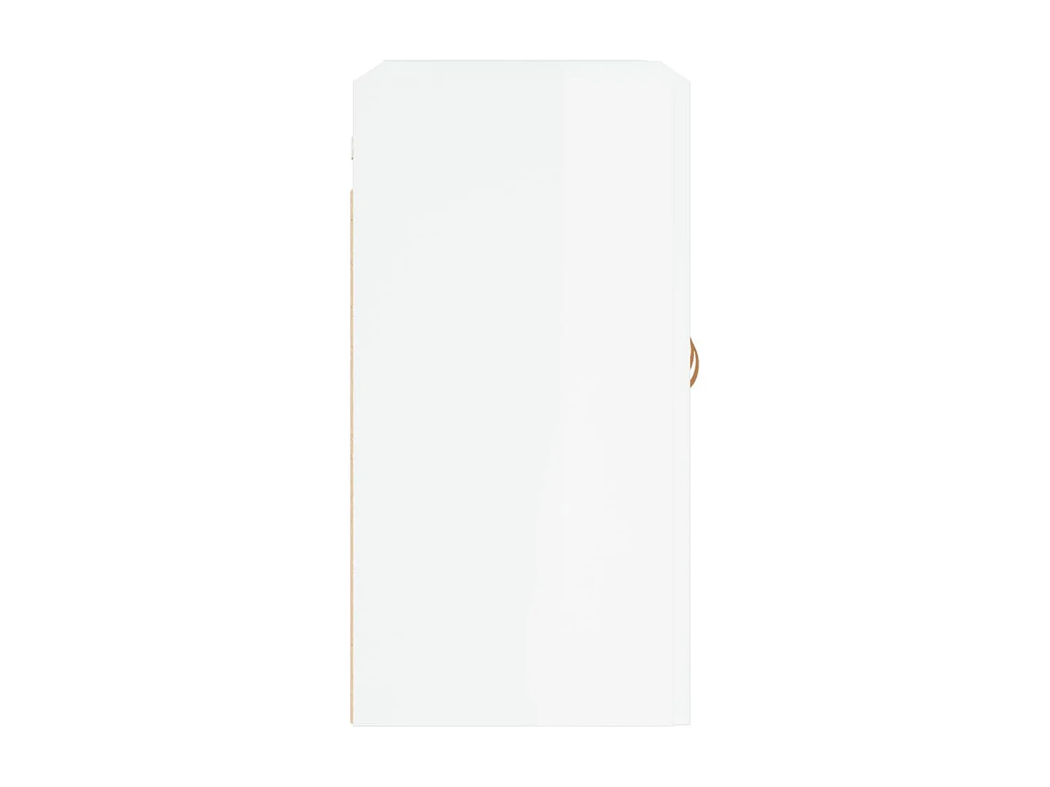 Armoire murale Blanc brillant 60x31x60 cm Bois d'ingénierie