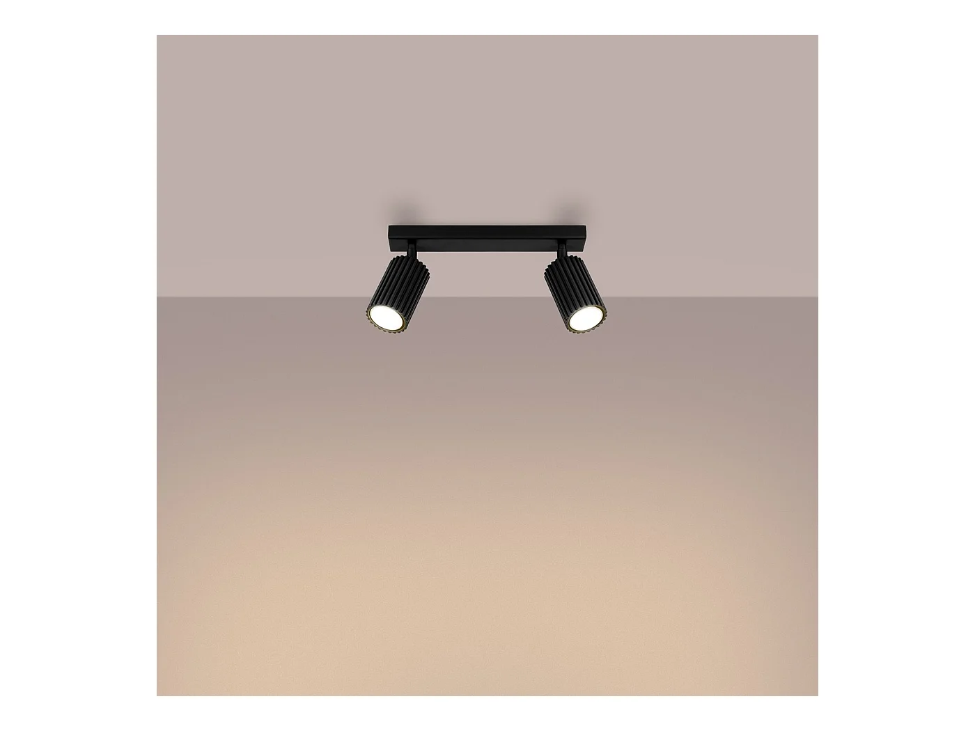 Plafonnier Onyx 2 noir