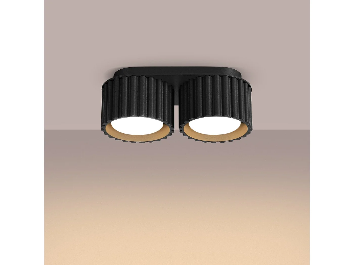 Plafonnier Aurélis 2 noir Gx53