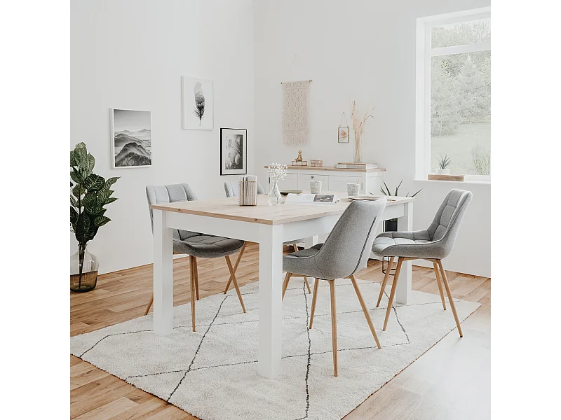 Table à manger et chaises 160x90x75 cm Gris Table en bois Blanc