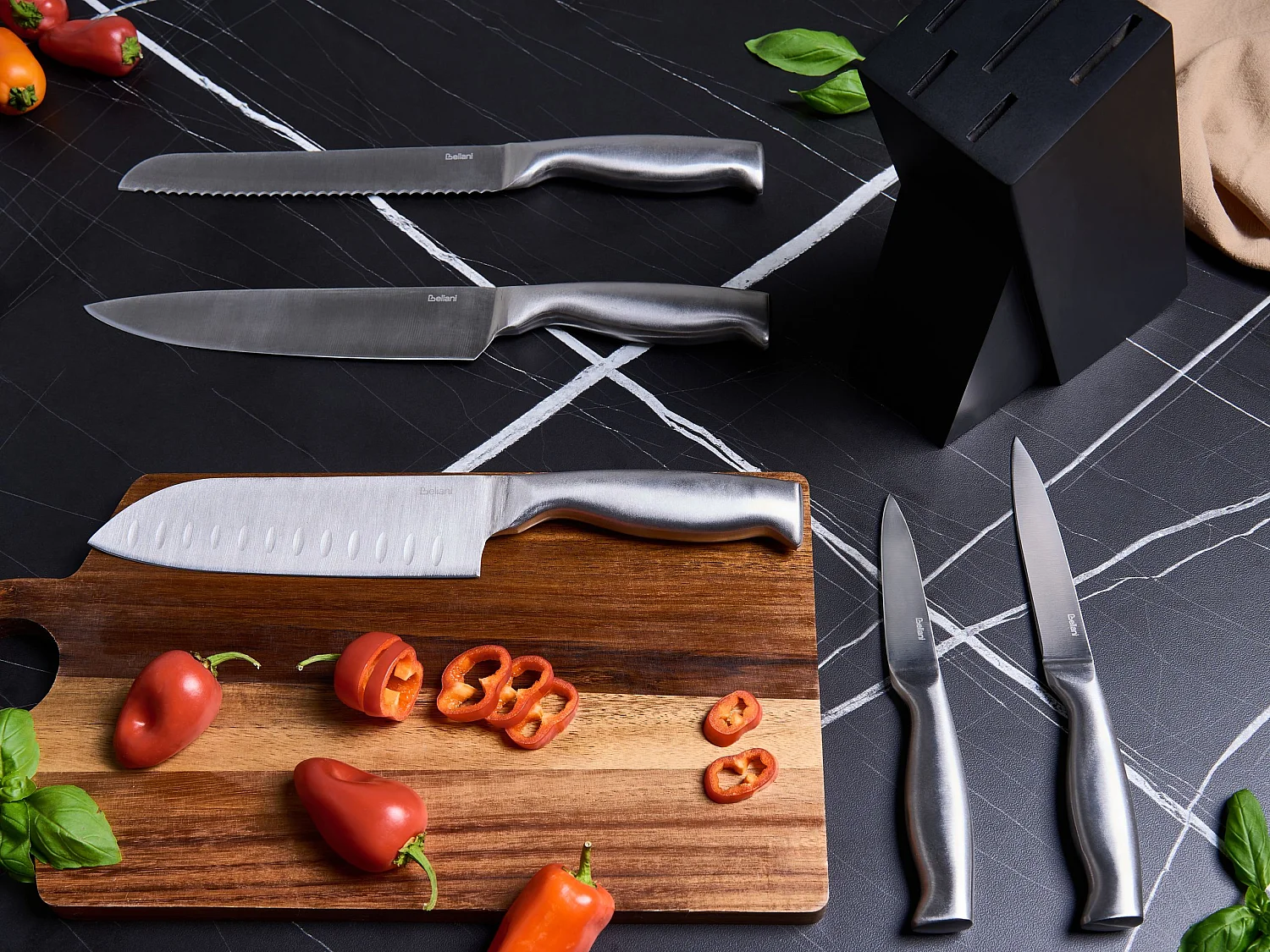 Lot de 5 couteaux dans un bloc MASHIKO Argenté