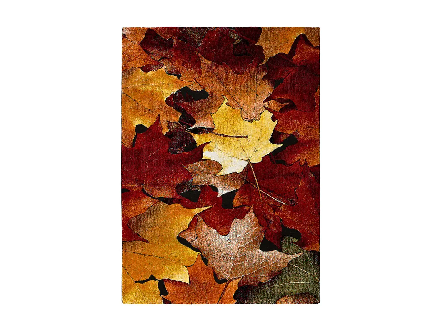 Tapis intérieur - floral - multicolore - 80 x 150 cm - KOBY