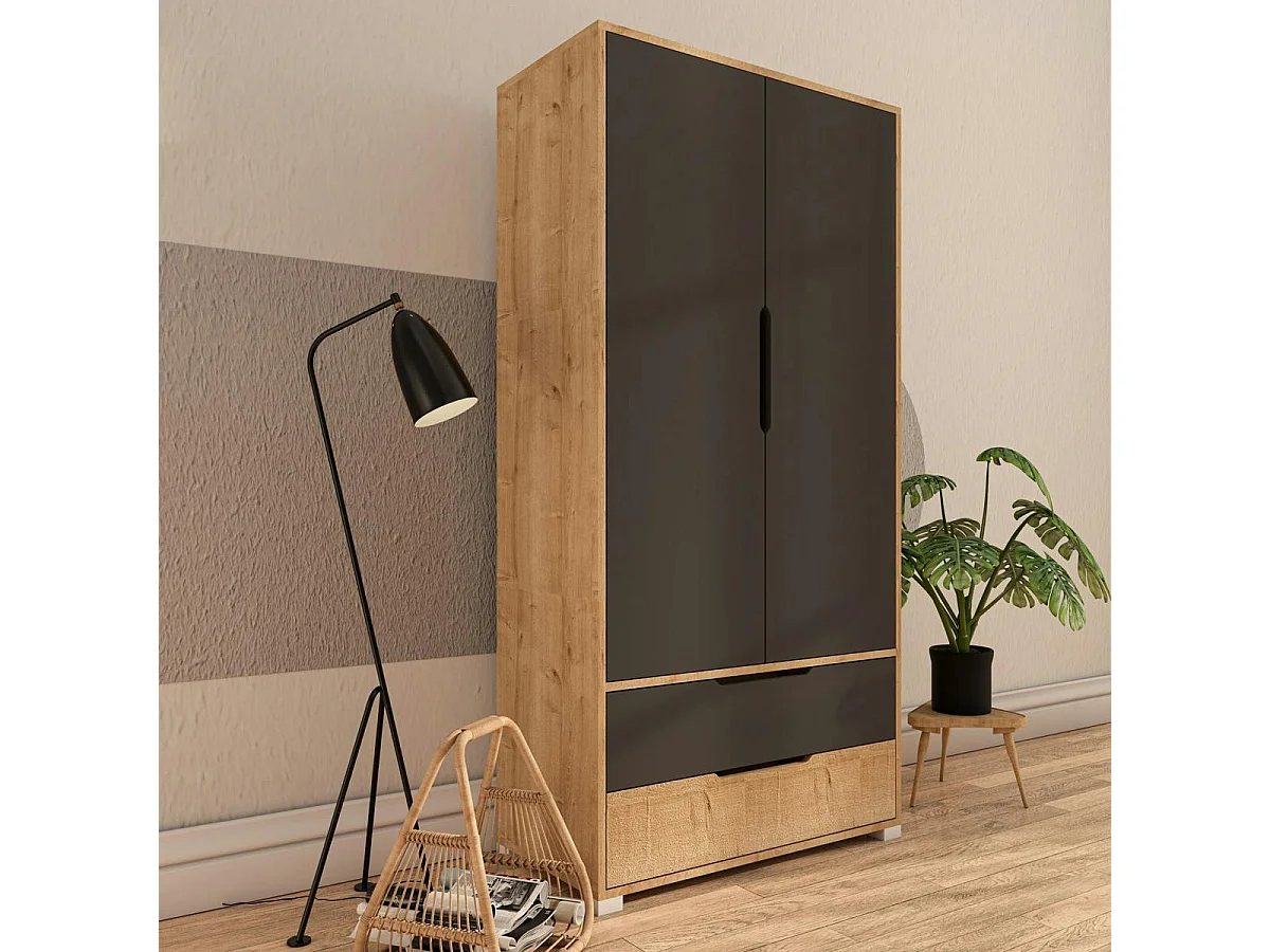 Armoire penderie 2 portes anthracite et effet bois BYRON