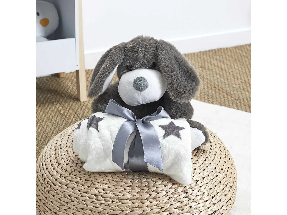 Peluche Chien Gris avec Plaid 70x70CM - ETIENNE