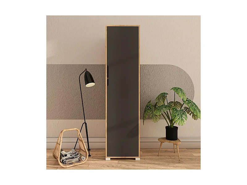 Colonne de rangement effet bois et porte grise BYRON