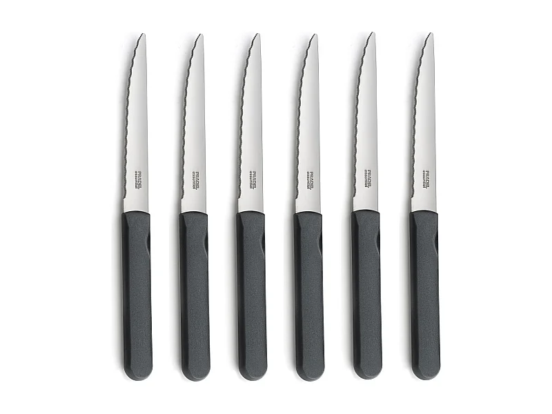 Energy Gris - Set 6 couteaux steak