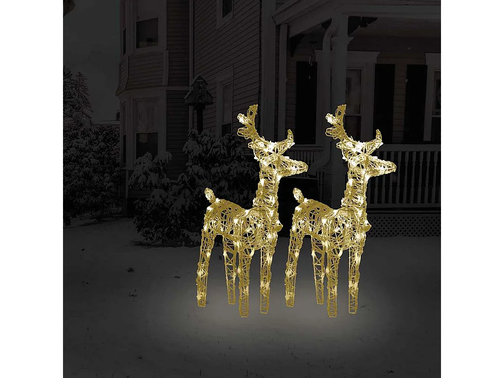 Kerstrendier 2 stuks 80 LED Warm Wit Acryl