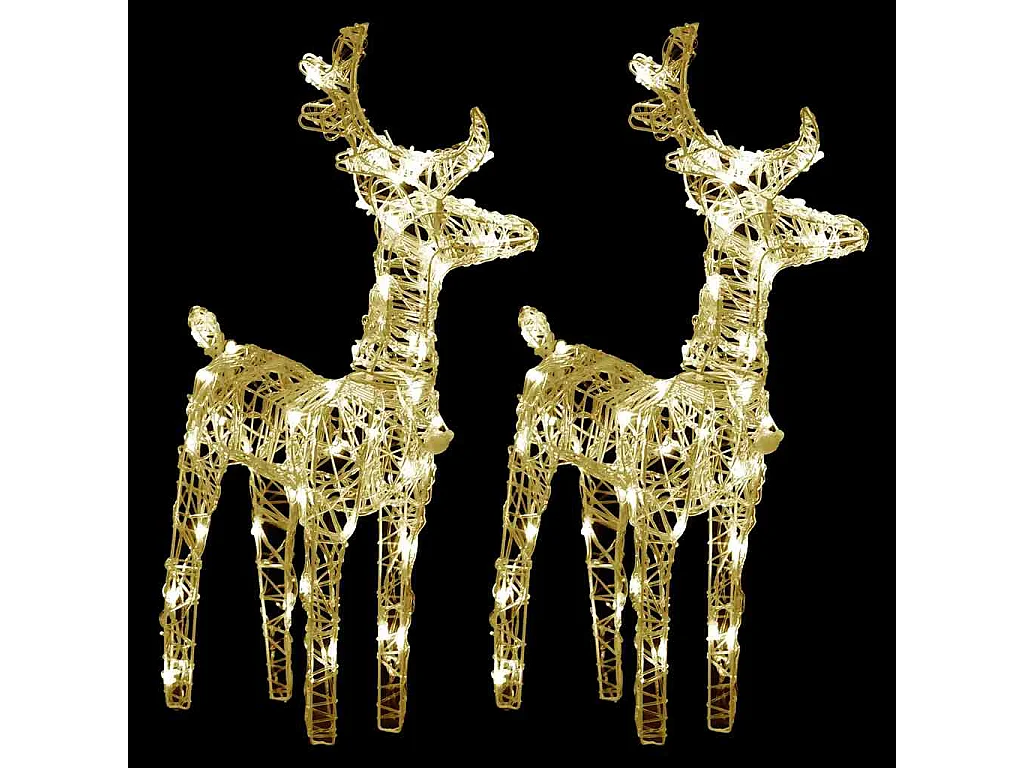 Kerstrendier 2 stuks 80 LED Warm Wit Acryl