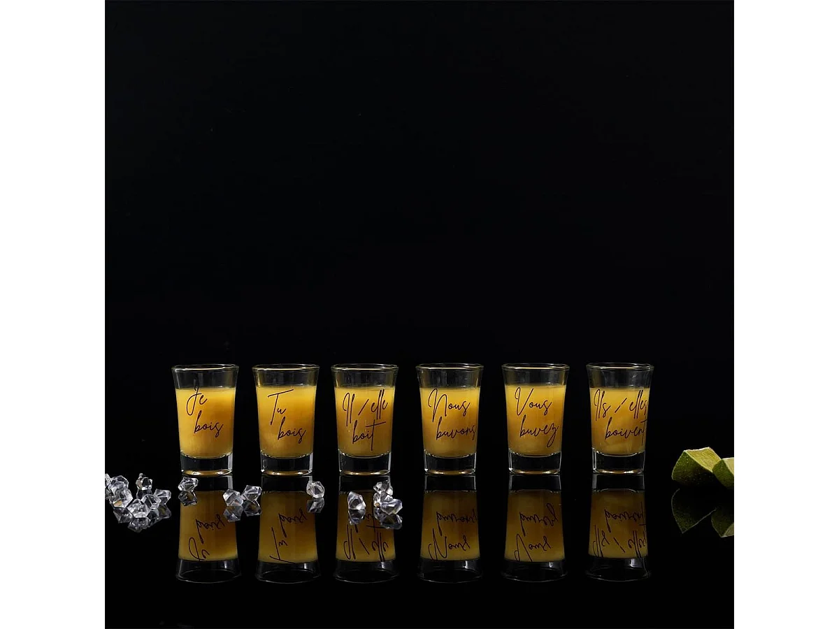 Set de 6 verres à shot en verre avec message "Conjugaison du verbe boire" (45 ml)