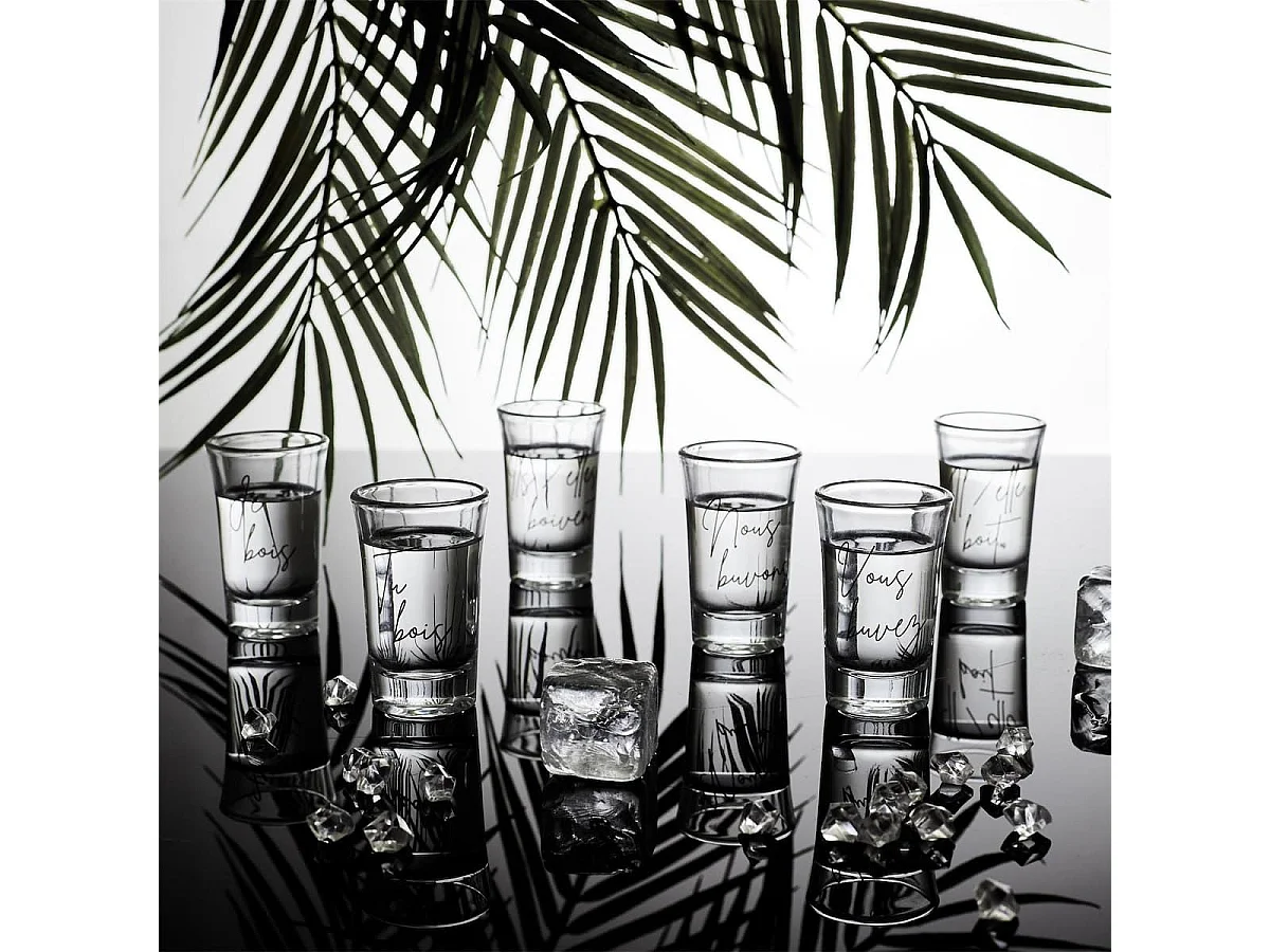 Set de 6 verres à shot en verre avec message "Conjugaison du verbe boire" (45 ml)