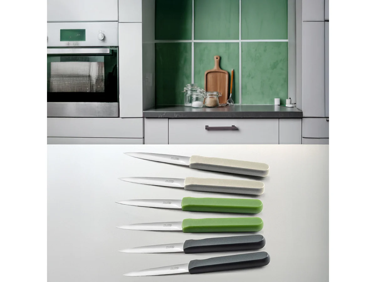 Energy -  Set 6 couteaux office coloris mixés