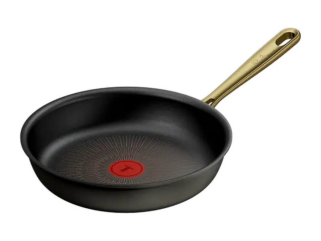 Tefal Poêle d'aluminium 24cm  noir - G3370402