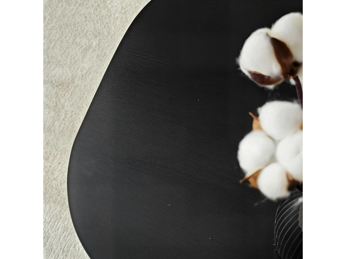 Table basse design noire, forme organique galet MARFA