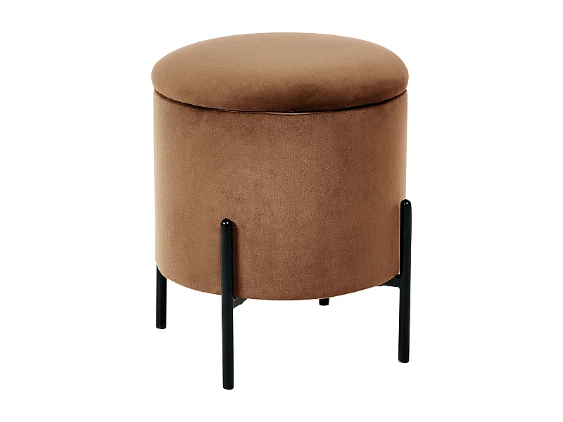 Pouf de rangement WENONA Velours Marron foncé