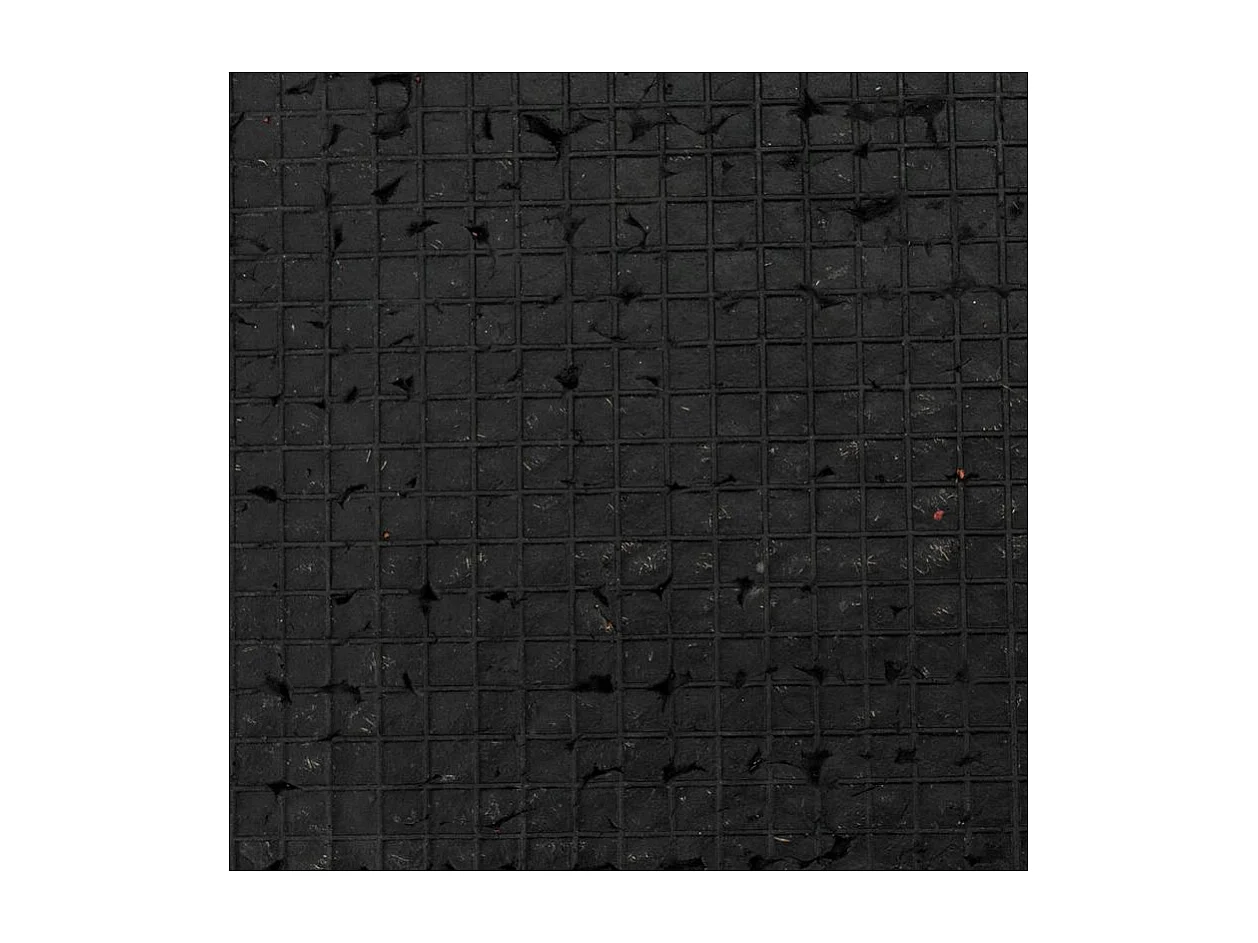 Paillasson en coco motif oiseaux avec dos latexé antidérapant – 70x40 cm