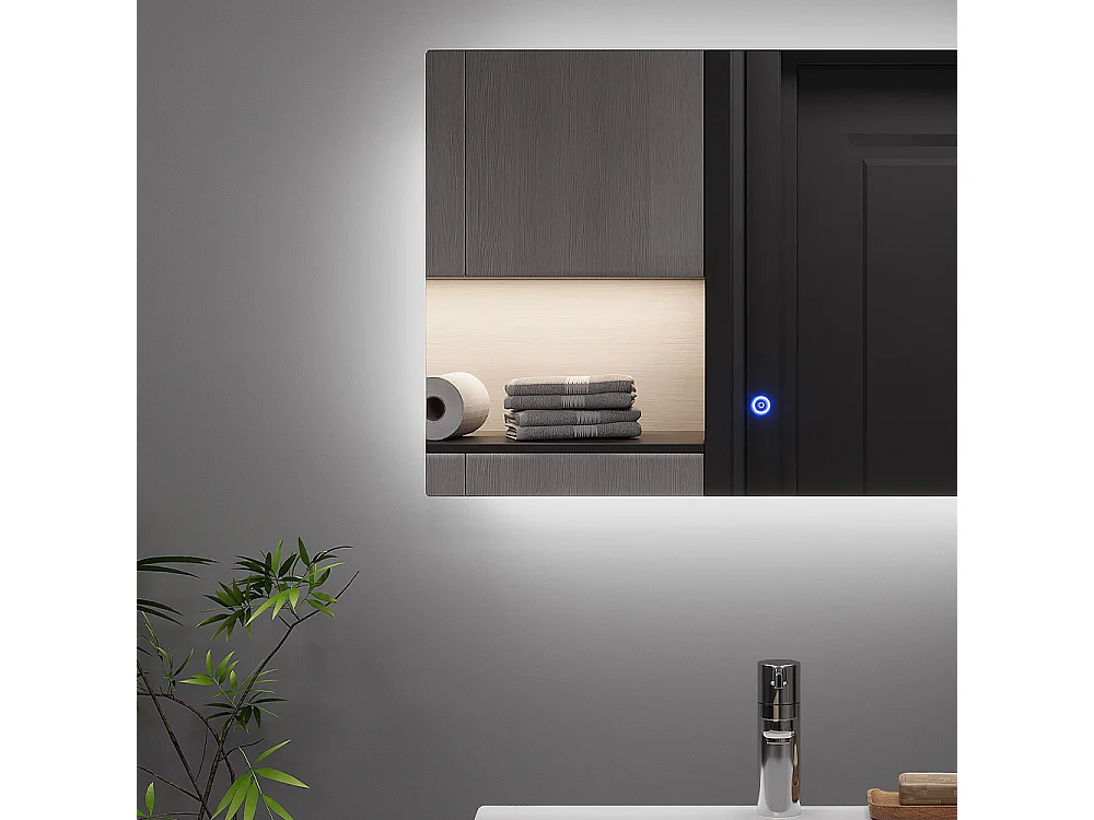 Badrumsspegel glas 60x2.8x40 miral