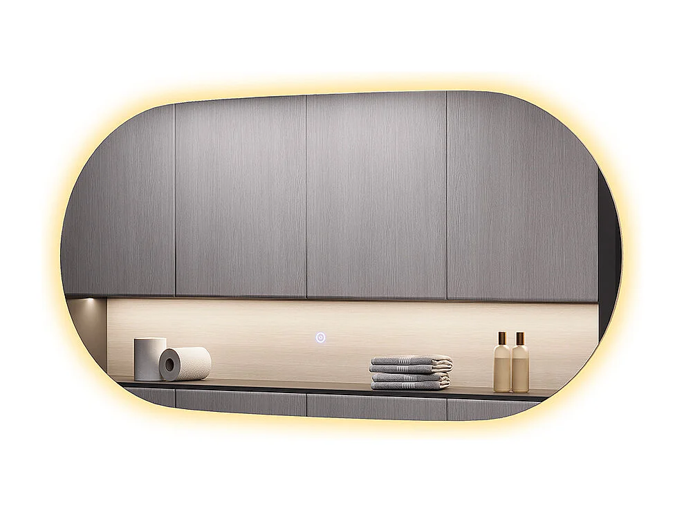 Miroir mural verre 100x50x2.8 miral