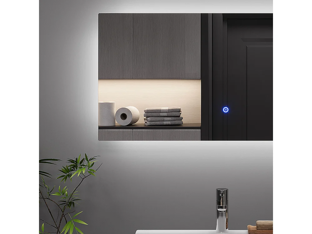 Miroir mural verre 80x40x2.8 miral