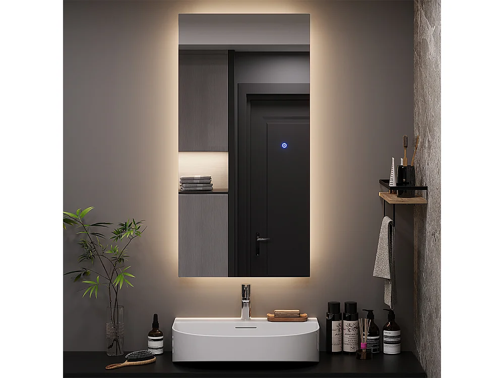 Miroir mural verre 100x50x2.8 miral