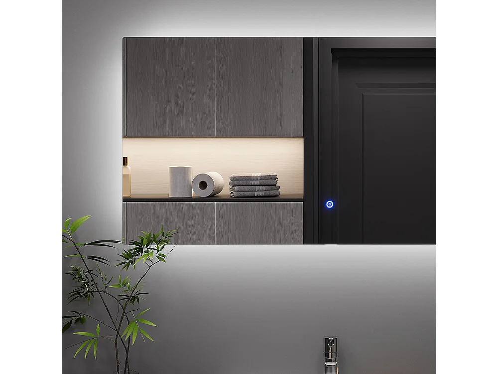 Miroir mural verre 100x2.8x50 miral