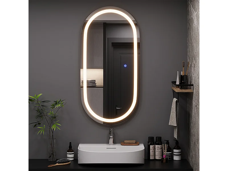 Miroir mural verre 100x50x2.8 miral