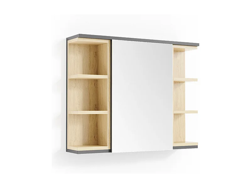 Armario con espejo para baño antracita 79.6x18x64 aquis