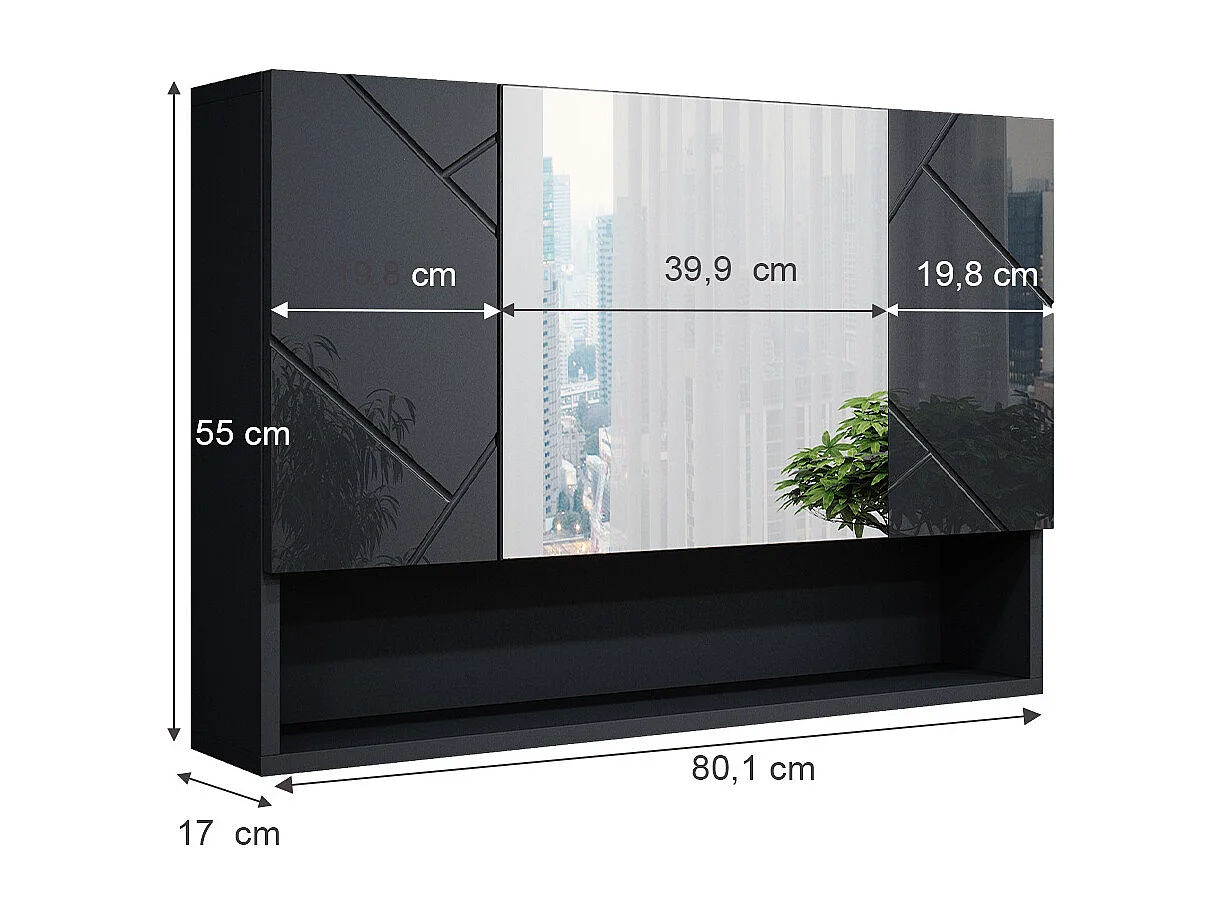 Armoire de toilette anthracite haute brillance 80.1x17x55 irma
