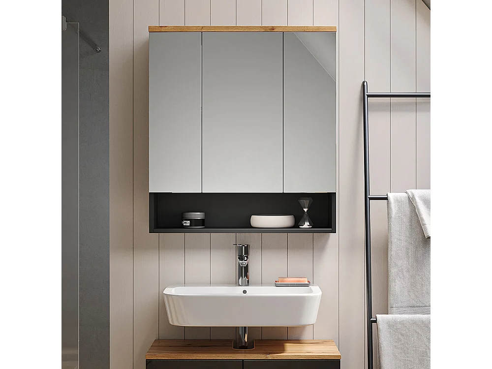 Badspiegelschrank anthrazit 70x21.7x77.5 eden