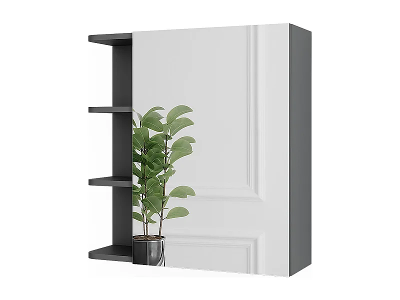 Spiegelschrank anthrazit 62x20.8x64 fynn