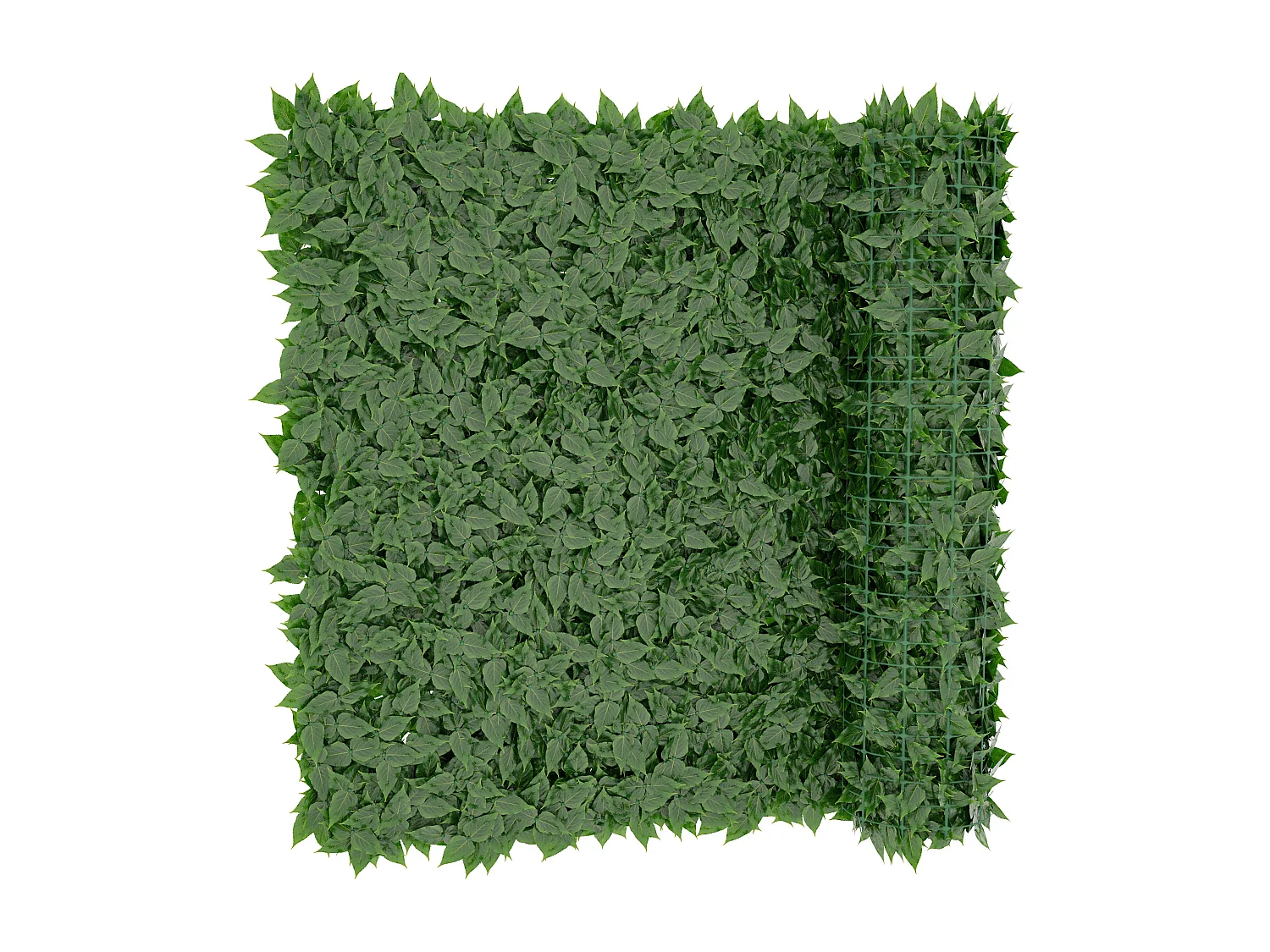 Siepe Finta Artificiale Ultra Coprente Anticaduta Rotolo Rete Frangivista Frangivento Ornamentale Foglia Edera Sintetica Per Ringhiera 1.5x6 mt